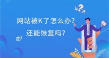 网站被K后如何恢复收录?